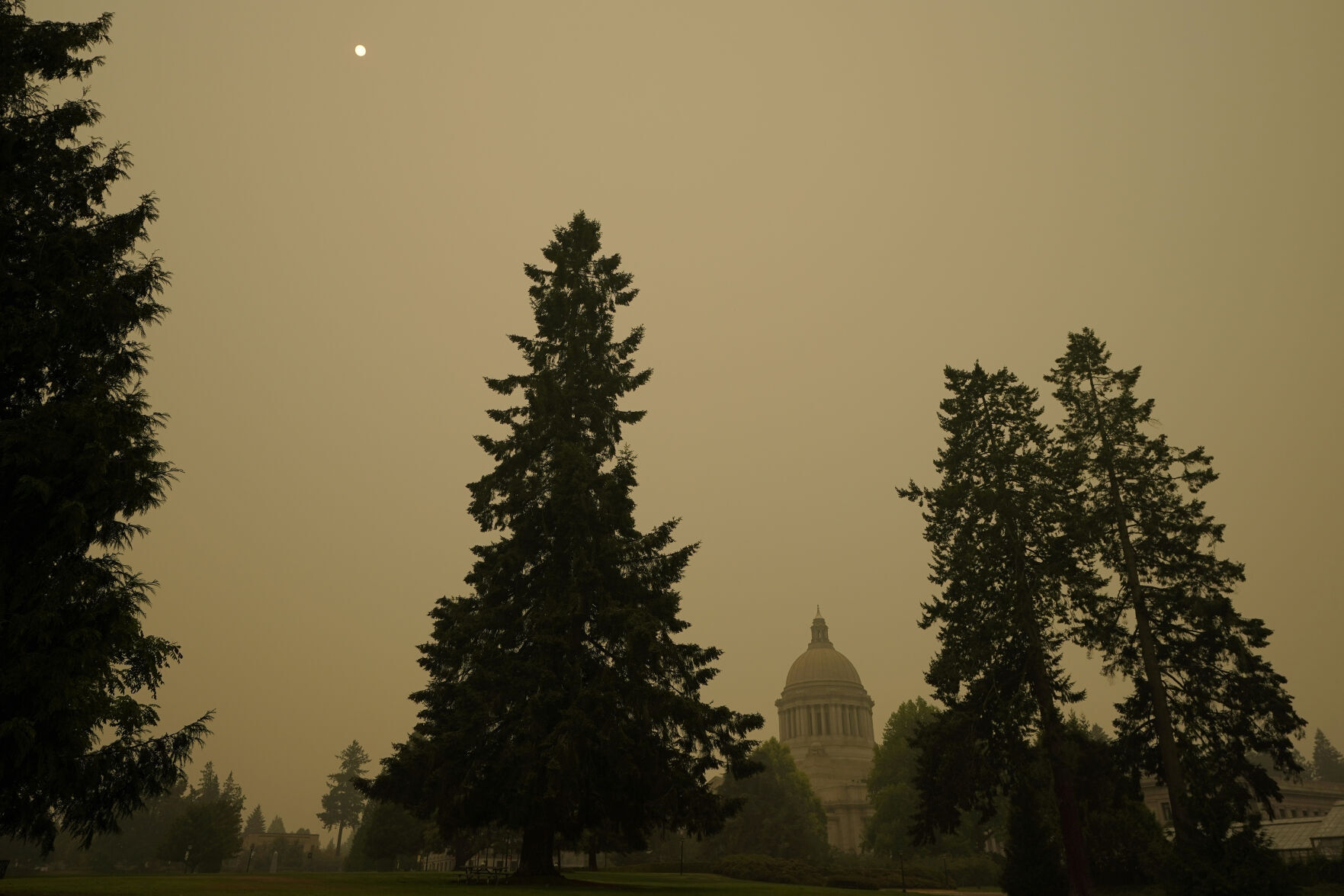 Wildfire smoke